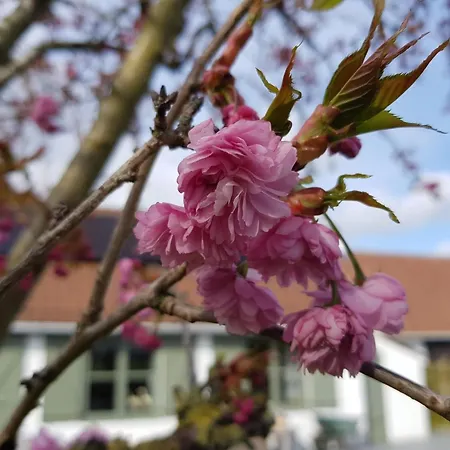 Mit Pool By Interhome Holiday home